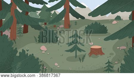 Natural Forest Landscape Vector Flat Illustration. Wild Woods Scenery With Spruces, Stumps, Bushes, 