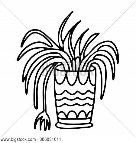 Spider Plant In A Pot Decorated With Ornaments. Houseplant In Doodle Style. Hand Drawn Vector Illust