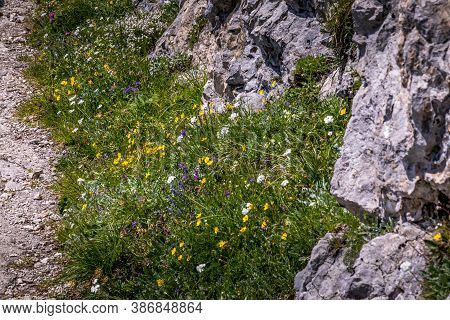 Hiking From The Mountain Station To The Top Of The Mountain Called Wendelstein In Bavaria, Germany A