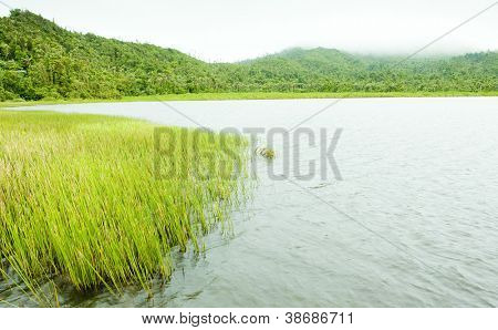 แกรนด์ Etang เล อุทยานแห่งชาติแกรนด์ Etang ประเทศเกรเนดา