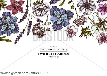 Floral Design With Colored Anemone, Lavender, Rosemary Everlasting, Phalaenopsis, Lily, Iris Stock I