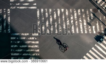 Elevated View Over A Biker Man On Pedestrian Crossing In Road Intersection Japan