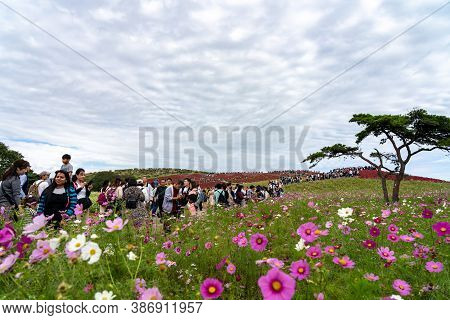 Ibaraki Prefecture, Japan - Oct 20, 2019 : Crowded People Going To The Miharashi Hill To See The Red