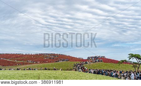 Ibaraki Prefecture, Japan - Oct 20, 2019 : Crowded People Going To The Miharashi Hill To See The Red