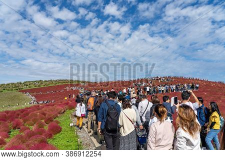 Ibaraki Prefecture, Japan - Oct 20, 2019 : Crowded People Going To The Miharashi Hill To See The Red