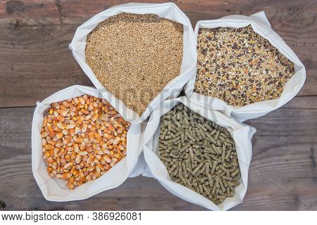 Overhead View Of Bags With Grains And Pellets For Sale At The Forage