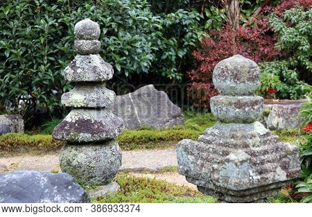 Japanese Garden Decorated Stone Cover By Lichen Moss And Background The Tree. Thallophytic Plant On 