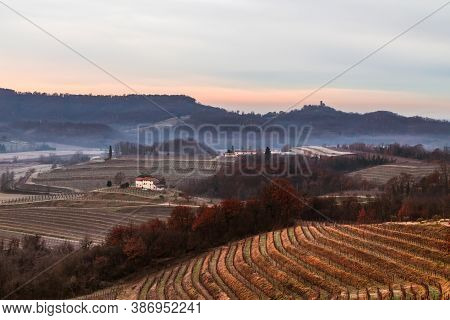 Cold Misty Morning In The Vineyards Of Italy