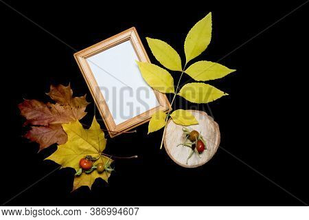 Mock-up Scene. Blank Yellow Frame, Red Maple Leaves, Wood And Red Rose Hips On Black Background. Fla