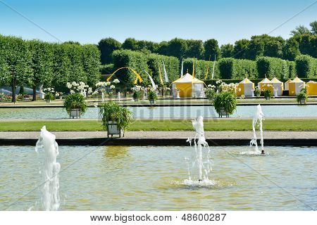 Swan damme i Herrenhausen haver, Hannover, Tyskland