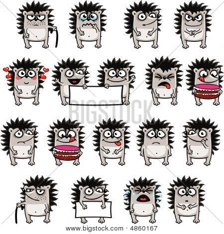 Hedgehogs