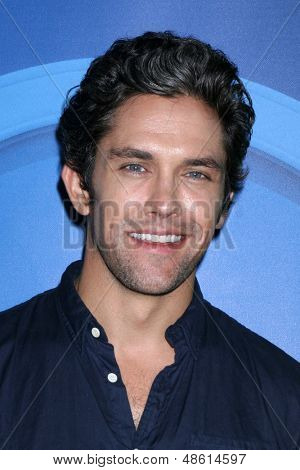 ลอสแองเจลิส - 27 jul: Neal Bledsoe ในทัวร์ฤดูร้อนกด TCA ปลอด 2013 ที่บริการ Beverly Hilton