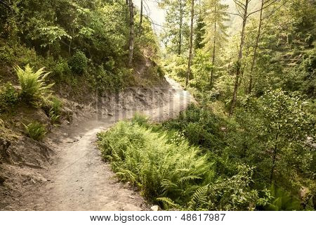 nepal woods lukla yakınındaki geçerek iz