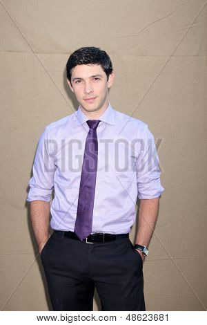 LOS ANGELES - JUL 29: Michael Rady kommt beim 2013 CBS TCA Sommerfest am Standort private