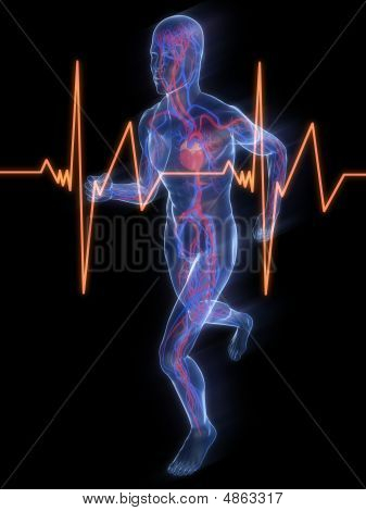 Jogger ระบบหลอดเลือด