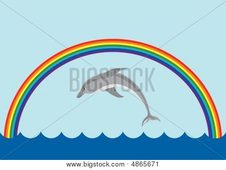 레인 보우 점프 돌고래와 배경
