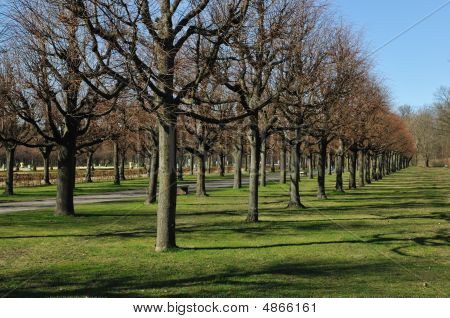 Park