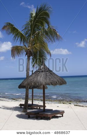 Praia tropical