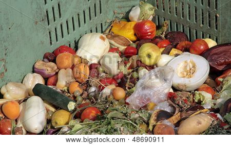 Broken Fruit And Vegetables To Throw Used As Manure On The Farm