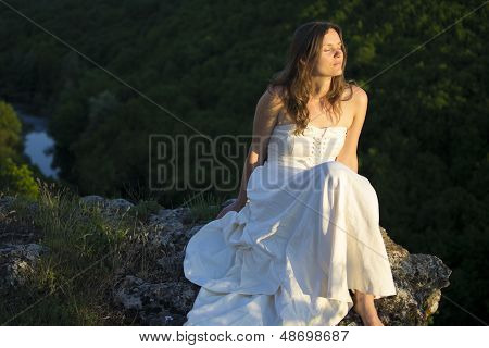 Golden Light In The Forest