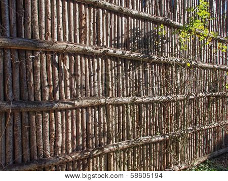 Wooden Palisade