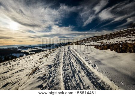 Landscape