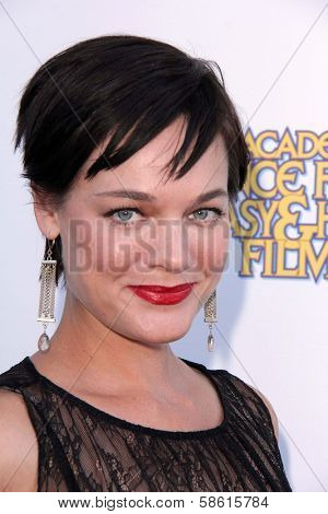 Camden Toy at the 39th Annual Saturn Awards, The Castaway, Burbank, CA 06-26-13