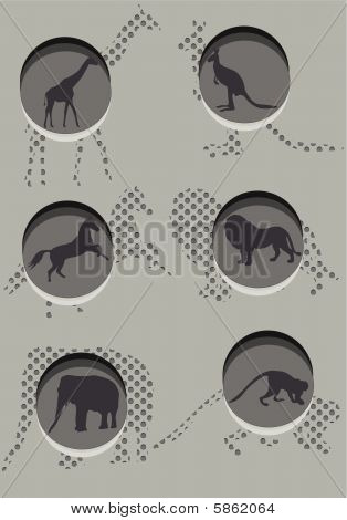 Zoo