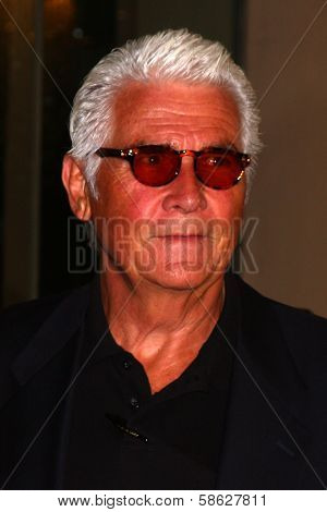 James Brolin at  the Hallmark Channel Summer TCA event, Beverly Hilton Hotel, Beverly Hills, CA 07-24-13