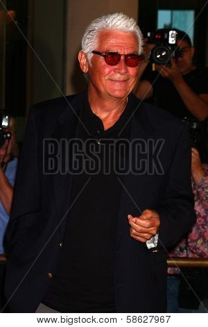 James Brolin at  the Hallmark Channel Summer TCA event, Beverly Hilton Hotel, Beverly Hills, CA 07-24-13