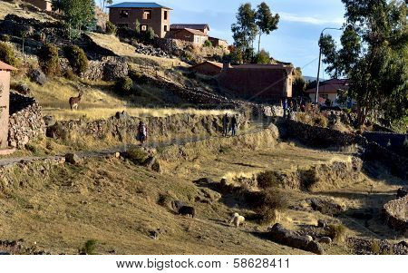 Amantani Island In Lake Titicaca