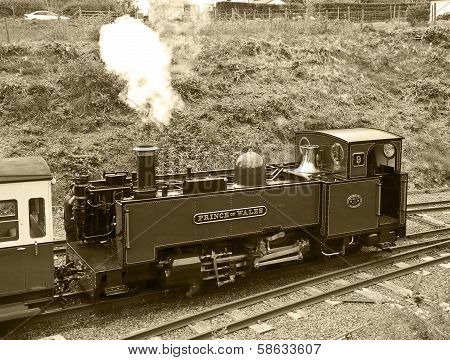 'The Prince of Wales'