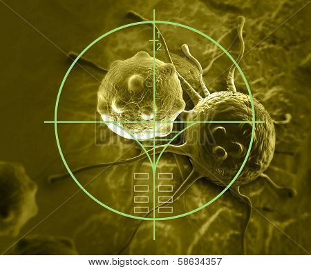 Cloud Of Micro organism