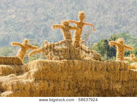 Scarecrows Stand Together In The Garden