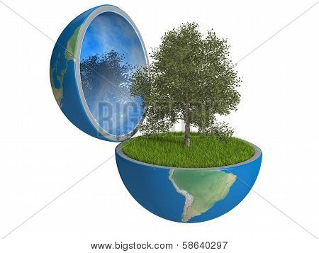 Tree Inside Planet