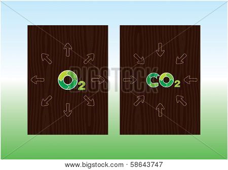 Green fuel for green planet