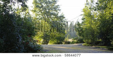 Morning Refreshing Countryside Landscape