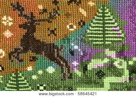 Brown Deer 4