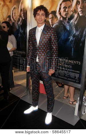 Robert Sheehan at the 
