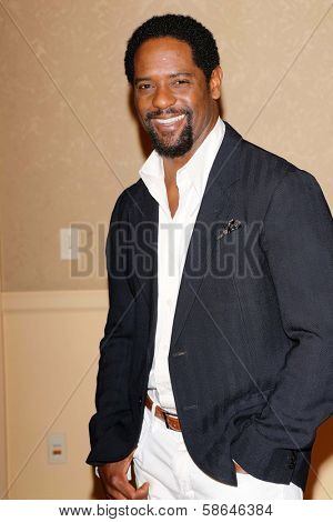 Blair Underwood at the Hollywood Foreign Press Association's 2013 Installation Luncheon, Beverly Hilton, Beverly Hills, CA 08-13-13