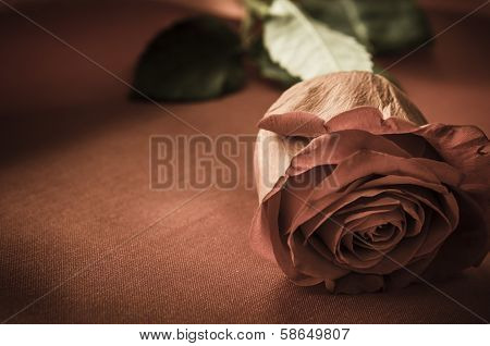 Rose On Satin Fabric - Vintage