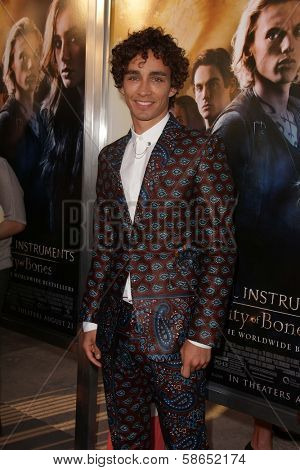 Robert Sheehan at the 