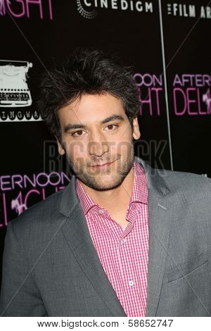 Josh Radnor at the 