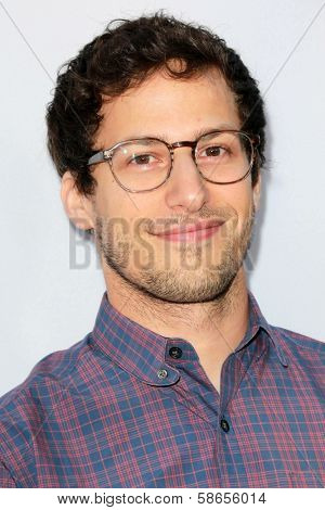Andy Samberg at 