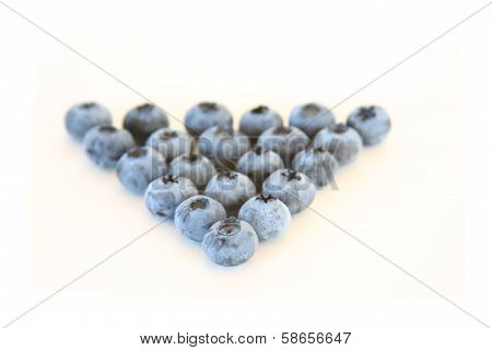 Blueberry Defence