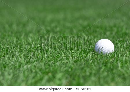 Grönt gräs och golfboll