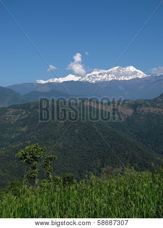 Green hills and snow capped Annapurna Range