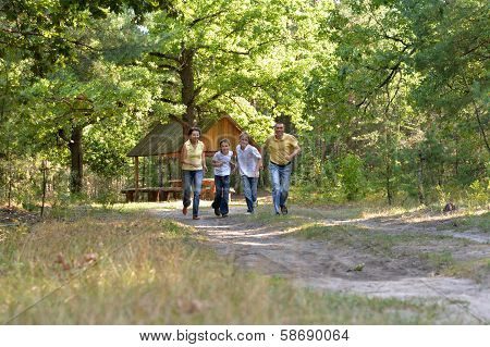 In a green summer park