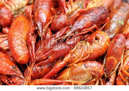 Craw Fish