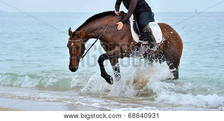 Rider on horseback in the water. Horse hoof spray raises